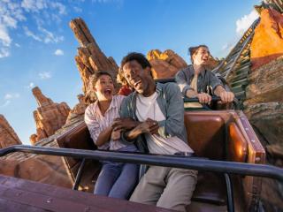 1 day/2 park Disneyland® Paris with transport