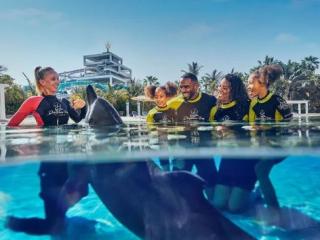 Dolphin Encounter at Atlantis Dubai