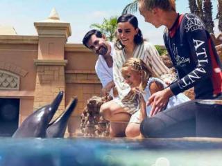 Dolphin Meet & Greet at Atlantis Dubai