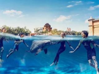 Dolphin Swim at Atlantis Dubai
