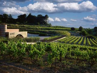 Wine & Sparkling Wine Premium Tour